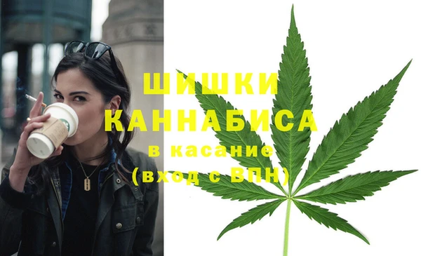 индика Нягань