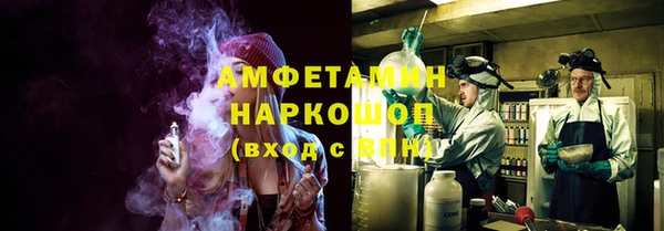 индика Нягань