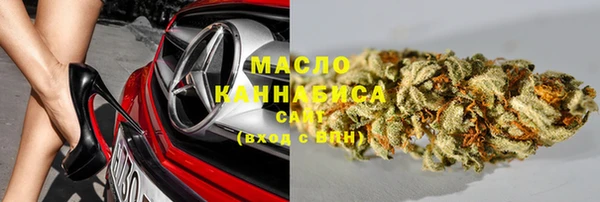 индика Нягань
