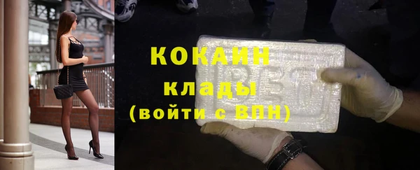 индика Нягань
