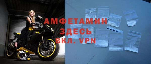 индика Нягань