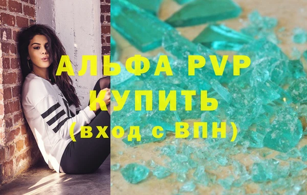 индика Нягань
