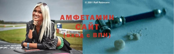 индика Нягань