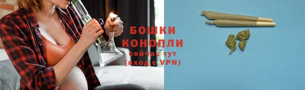 герыч Болотное