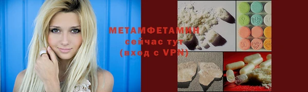 индика Нягань