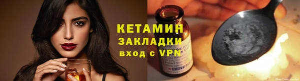 индика Нягань
