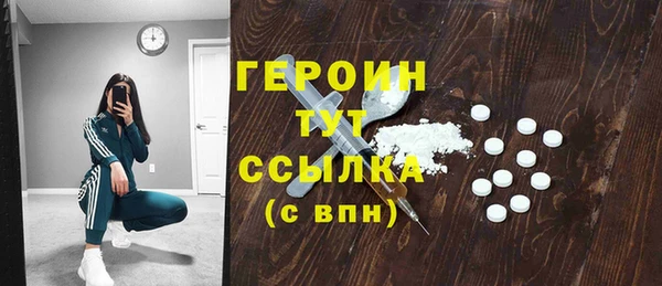 индика Нягань