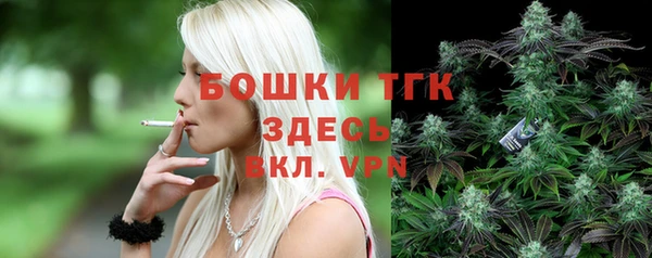 индика Нягань