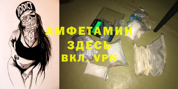 индика Нягань