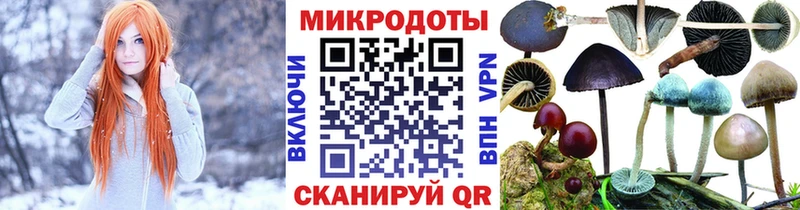 Галлюциногенные грибы мицелий  Бавлы 